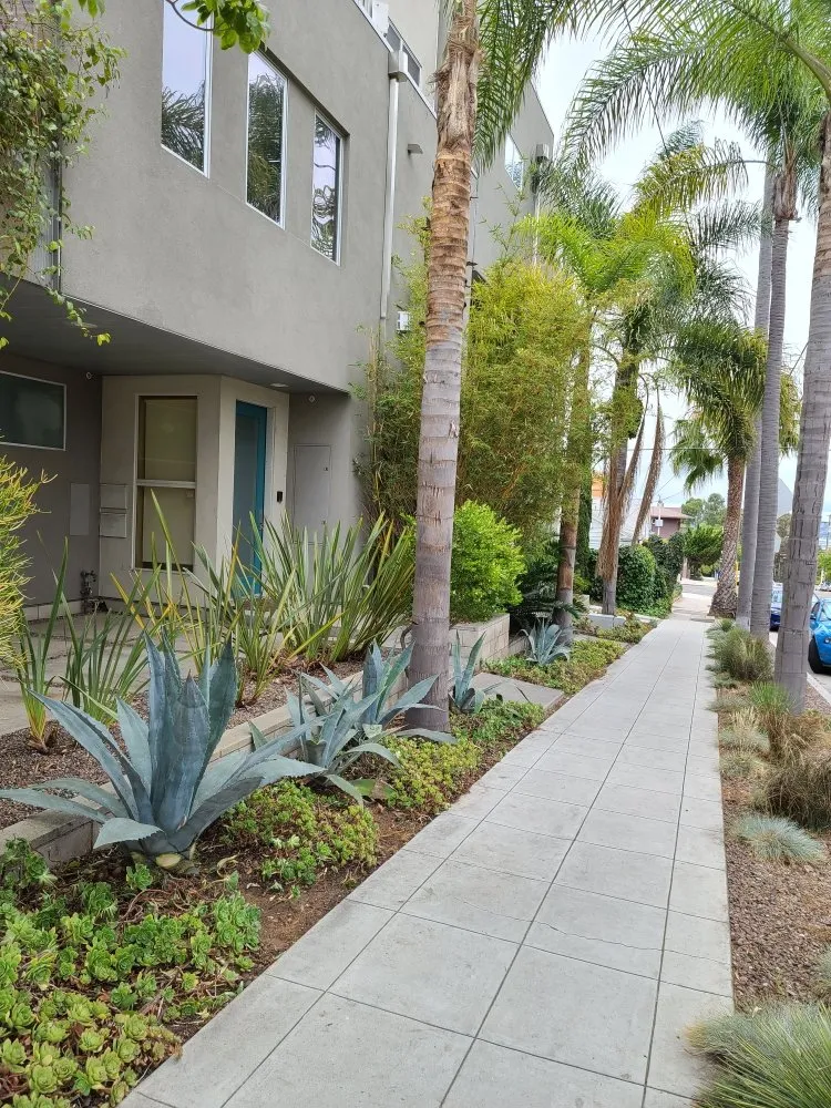 Trusted lawn care service for year-round maintenance in San Diego, CA by New Valley Landscaping Services