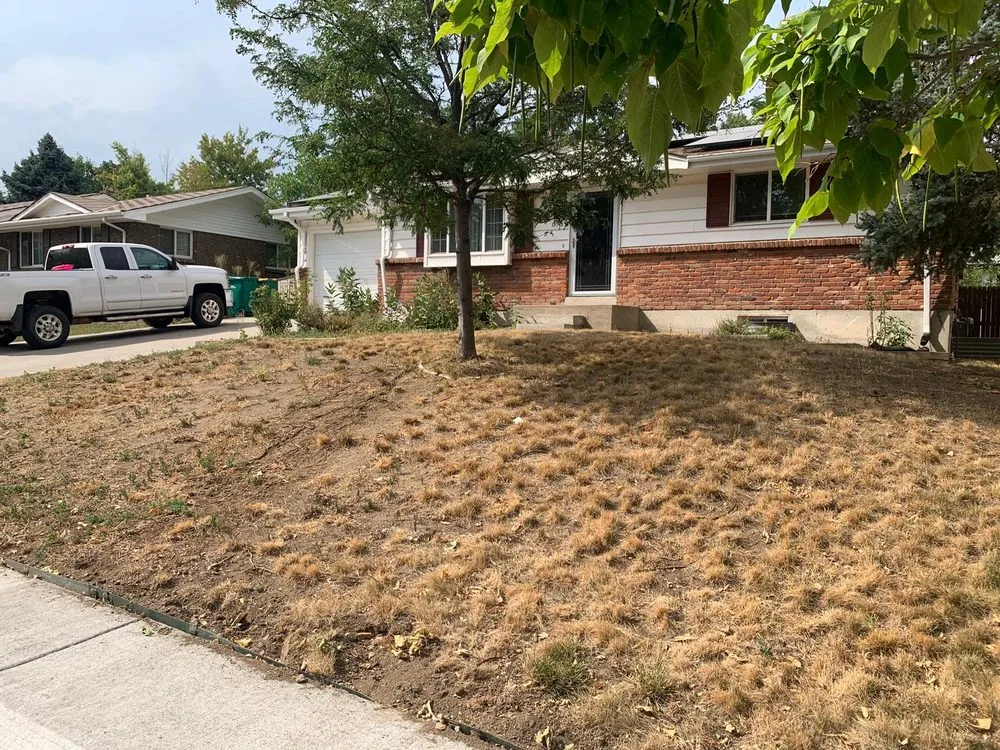 Trusted landscaping services in Northglenn, CO by New View Landscape & Concret