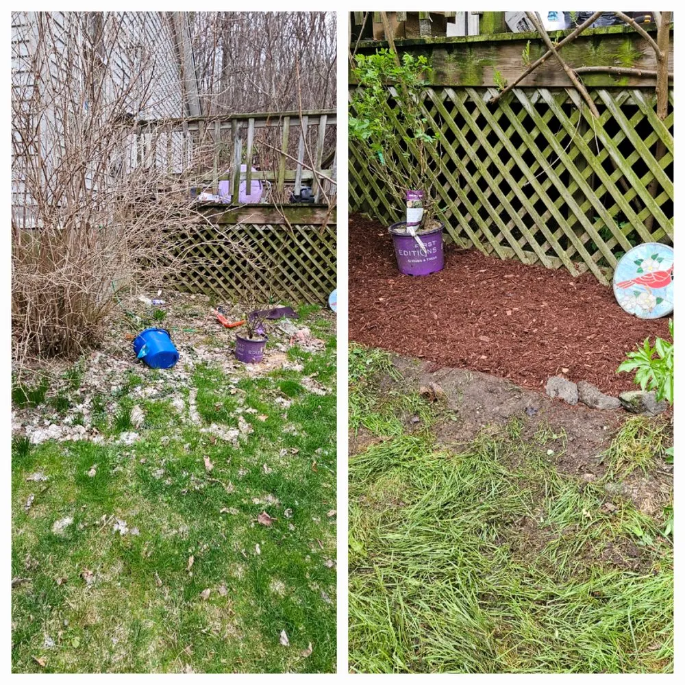 Local yard cleanup service near you in Sudbury, VT by New View Landscaping