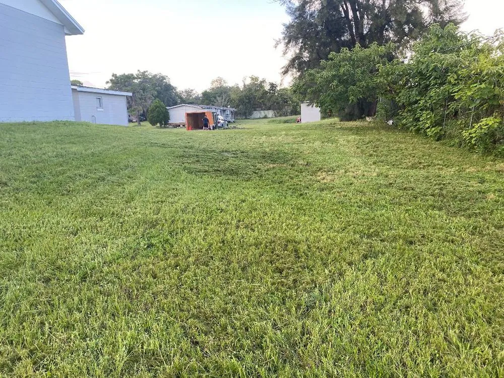 Expert yard cleanup service near you in Avon, MA by New View Lawn Care