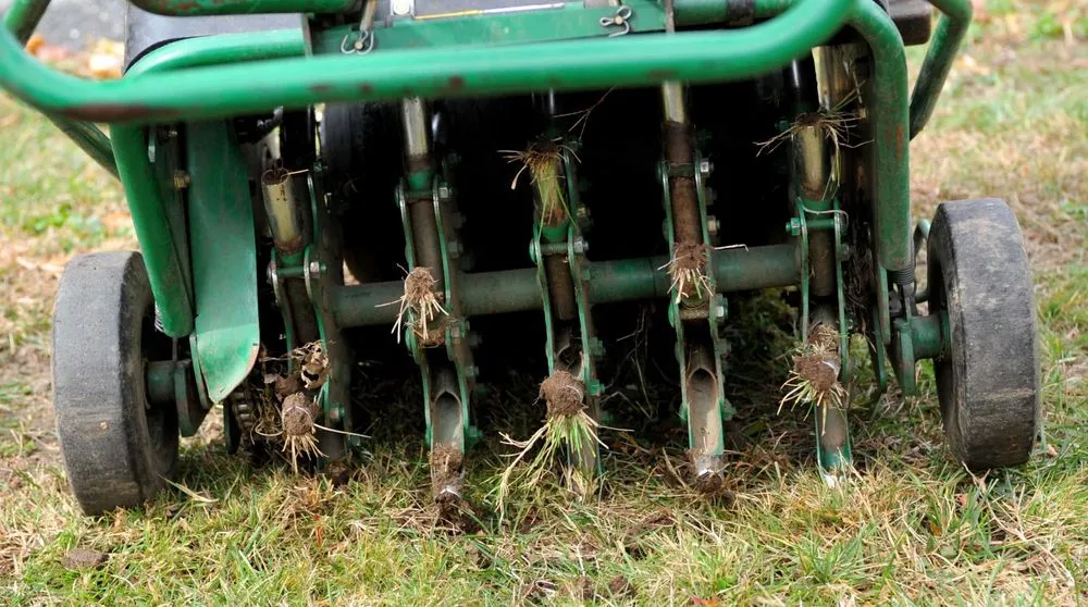 Professional residential landscaping for year-round maintenance across Avon, MA - New View Lawn Care