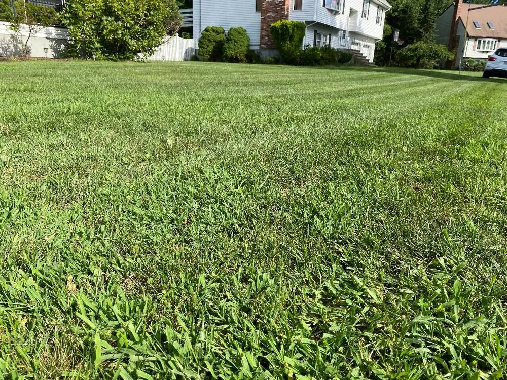 Expert lawn mowing service experts serving Avon, MA - New View Lawn Care