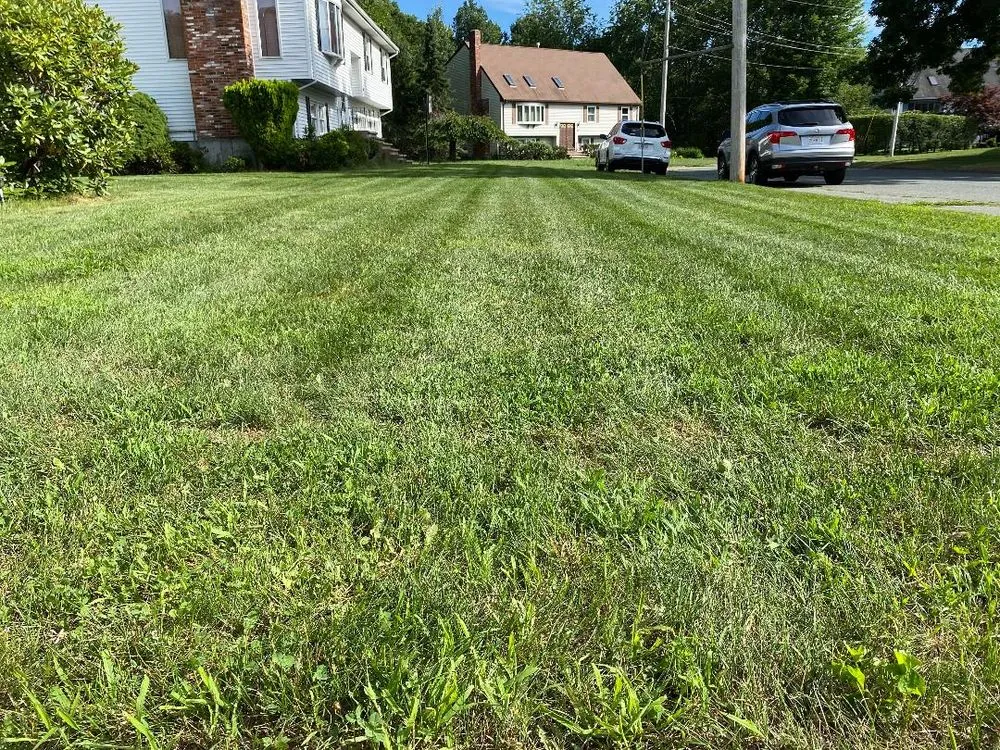 Professional yard cleanup service experts serving Avon, MA - New View Lawn Care