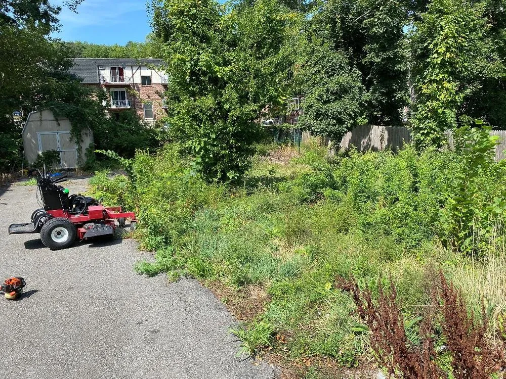 Trusted yard cleanup service in Avon, MA by New View Lawn Care