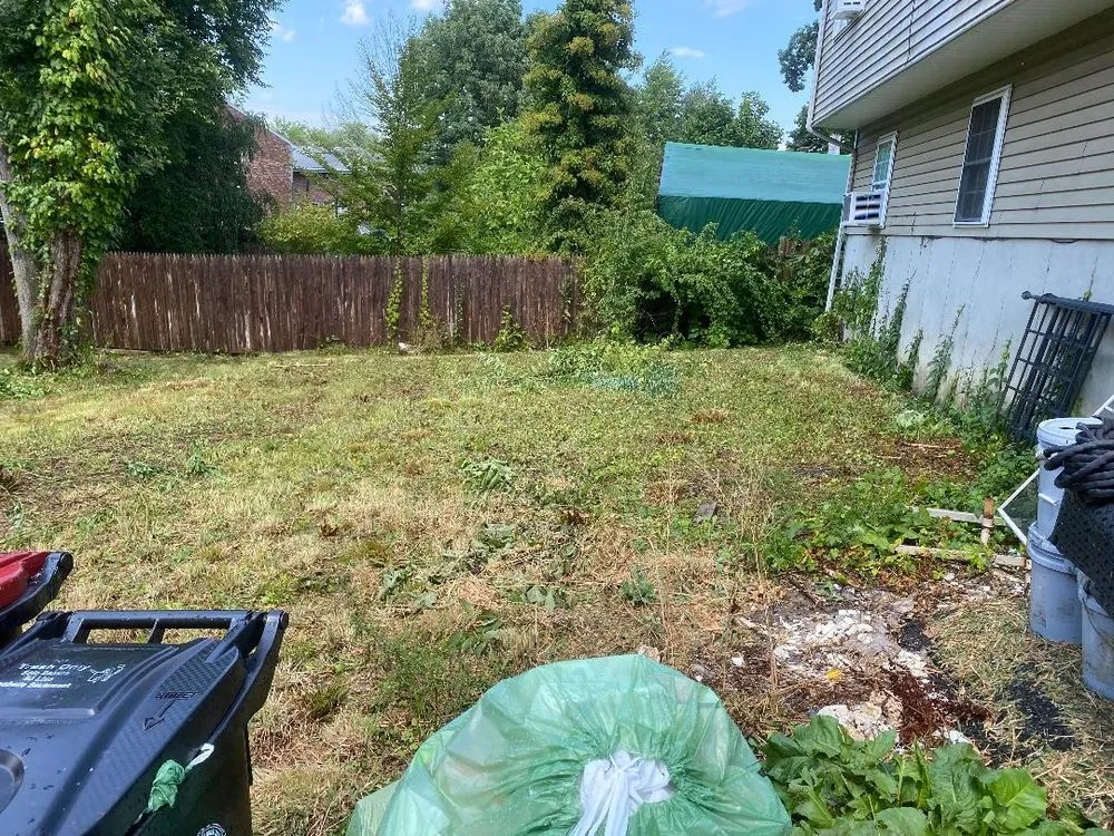 Top-rated lawn care service in Avon, MA by New View Lawn Care