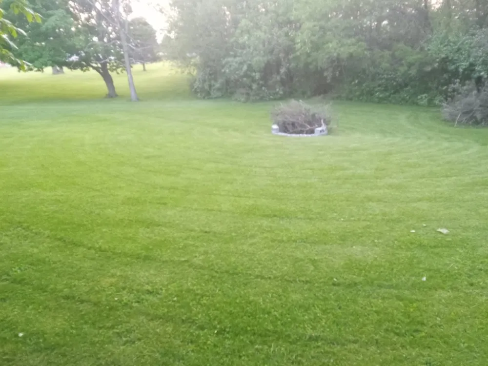 Expert yard cleanup service in Urbana, OH - New View power washing, lawn care, Mechanic & More