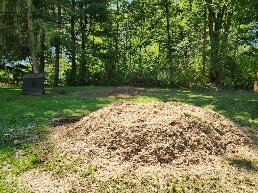 Reliable landscaping services for beautiful yards in Cortland, OH by New View Stump Grinding