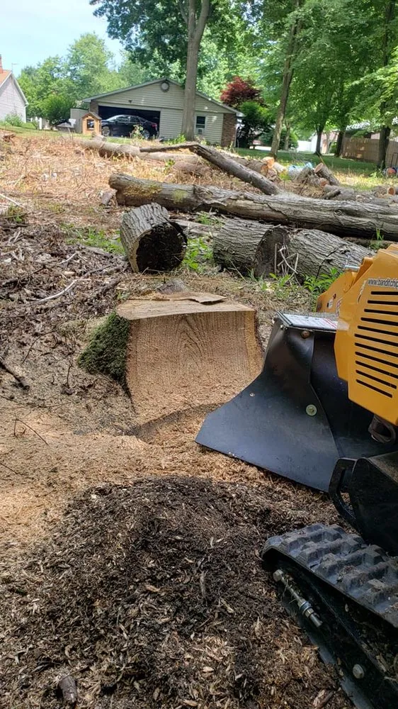 Reliable yard cleanup service in Cortland, OH - New View Stump Grinding