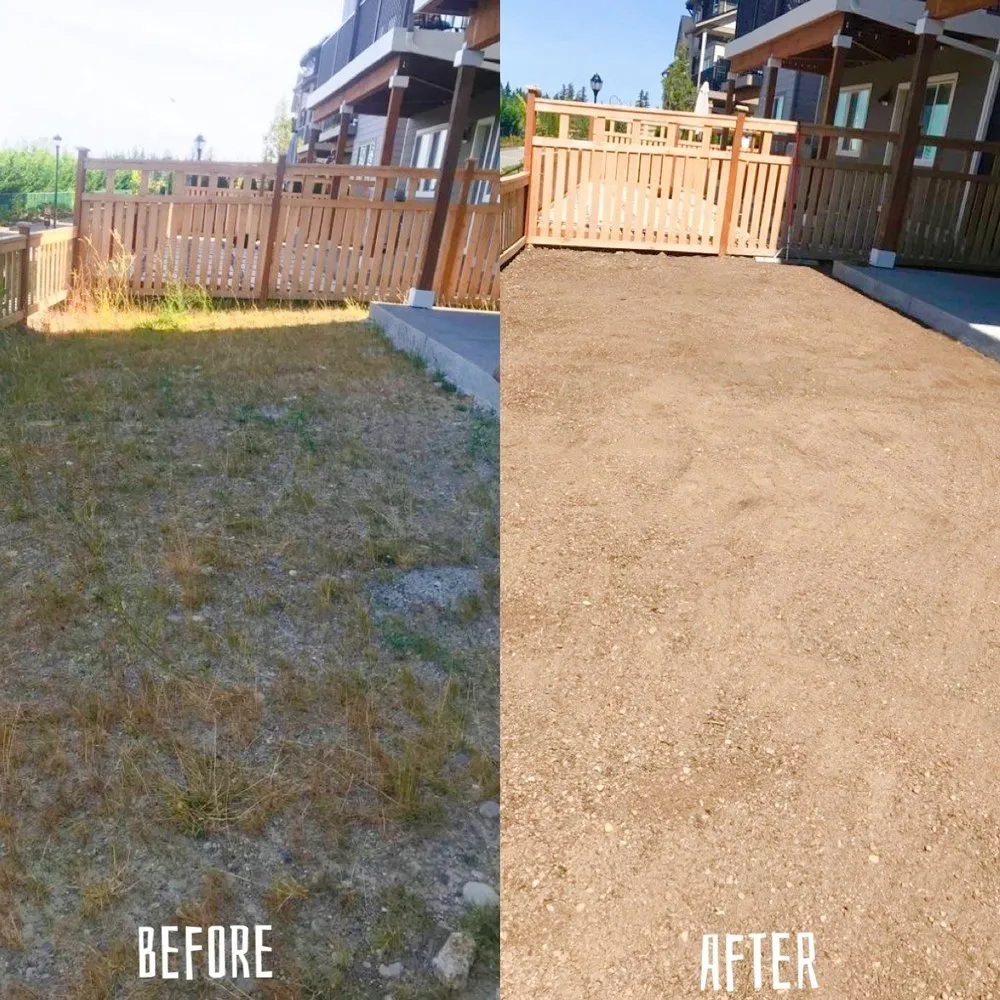 Affordable outdoor landscaping for beautiful yards in Renton, WA by New View Tree and Landscaping