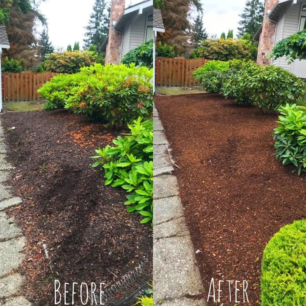 Top-rated garden landscaping near you in Renton, WA by New View Tree and Landscaping