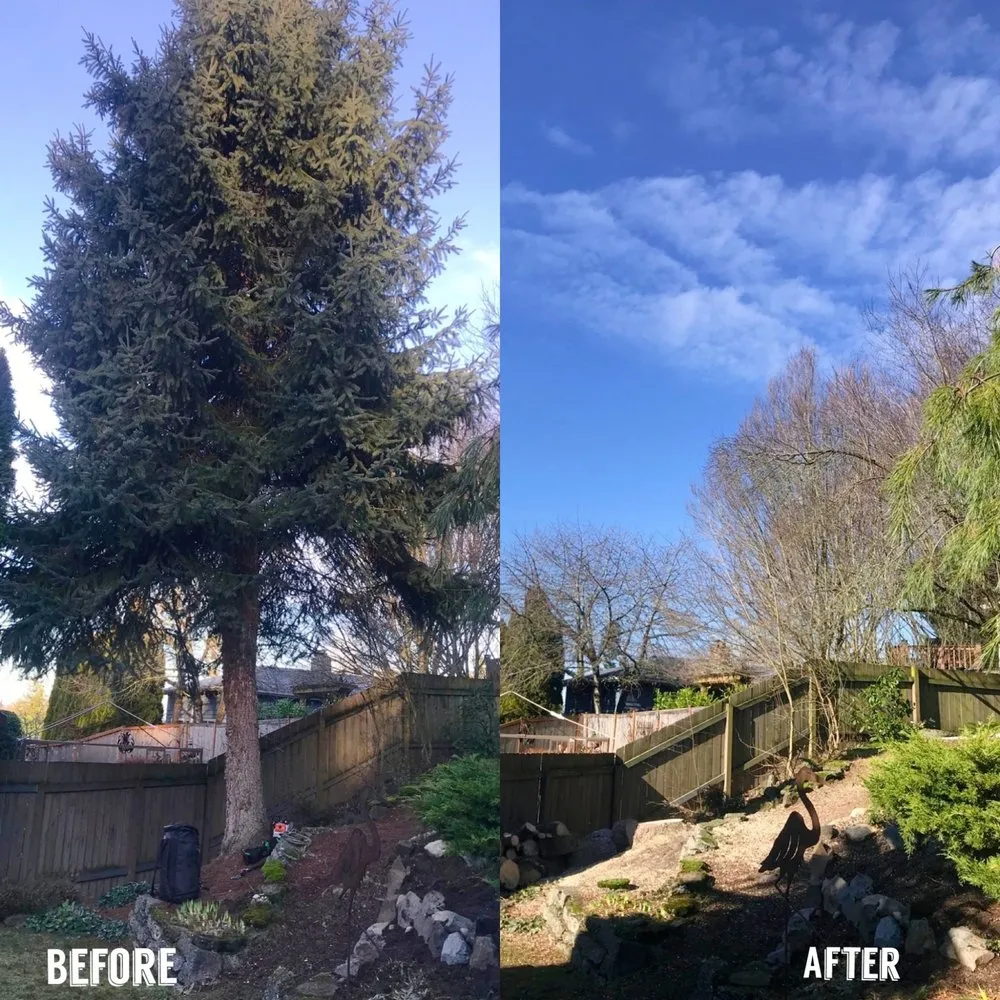 Reliable lawn mowing service in Renton, WA - New View Tree and Landscaping