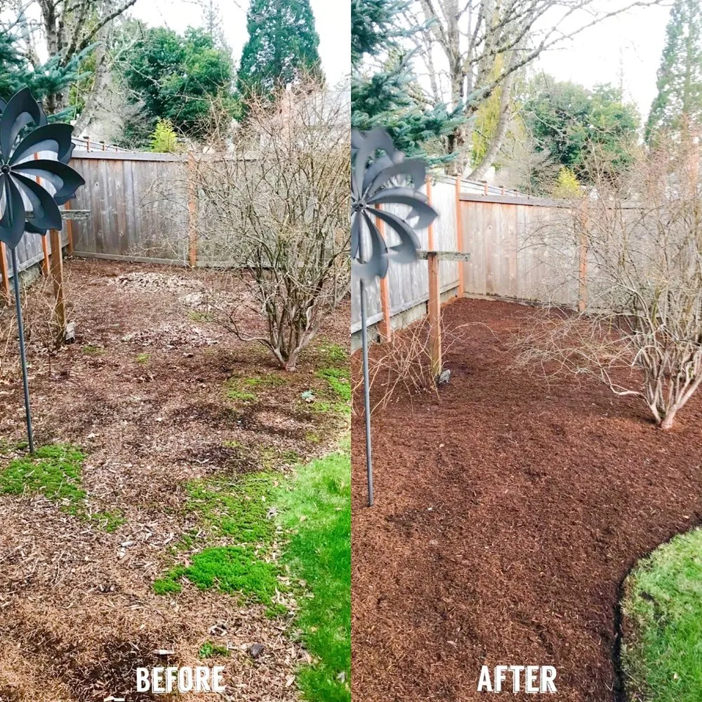 Trusted landscape design experts serving Renton, WA - New View Tree and Landscaping
