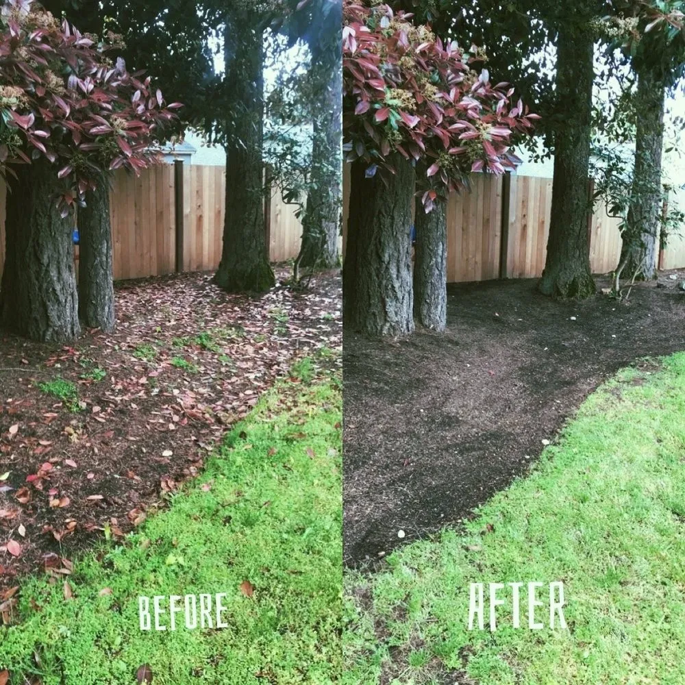 Professional yard cleanup service near you across Renton, WA - New View Tree and Landscaping
