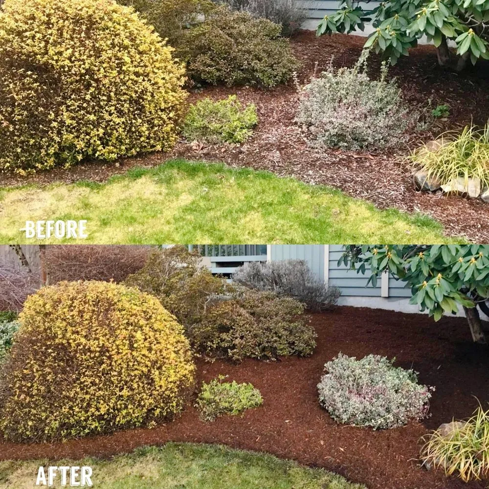 Trusted outdoor landscaping for year-round maintenance across Renton, WA - New View Tree and Landscaping