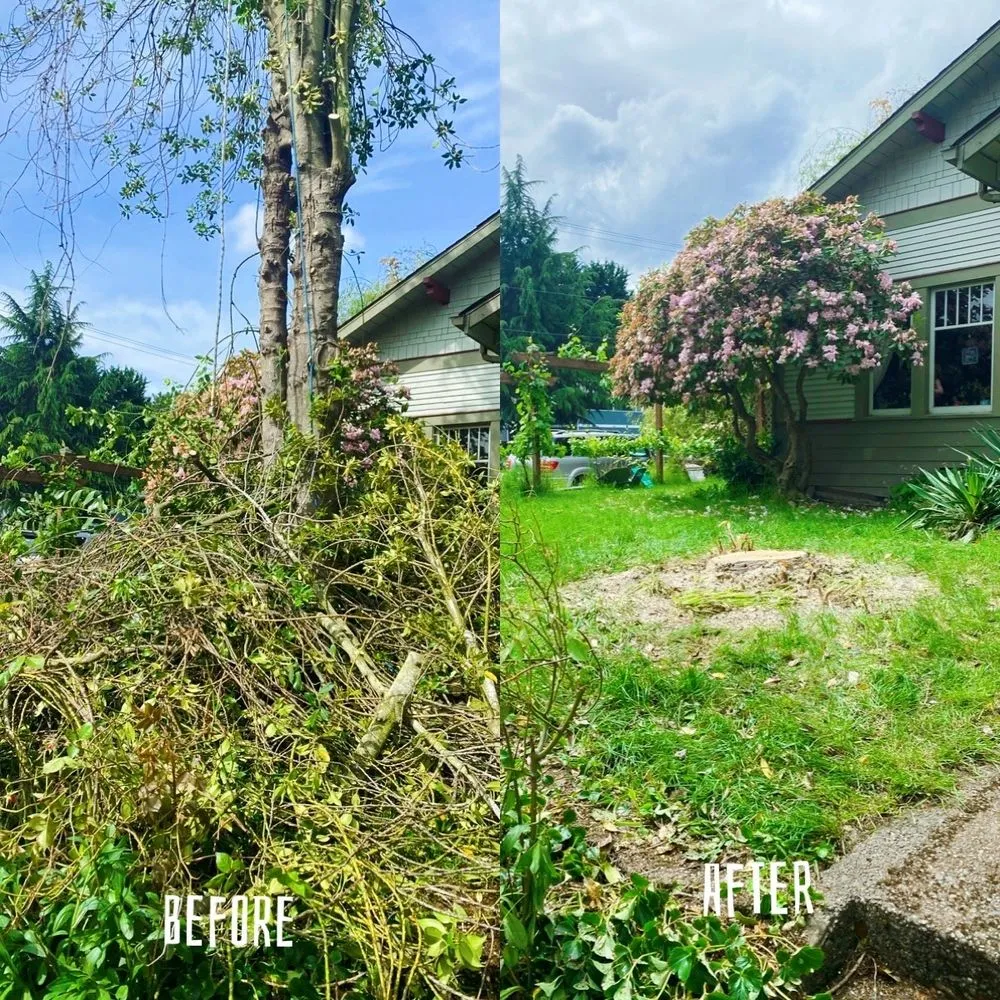 Professional landscape installation in Renton, WA by New View Tree and Landscaping