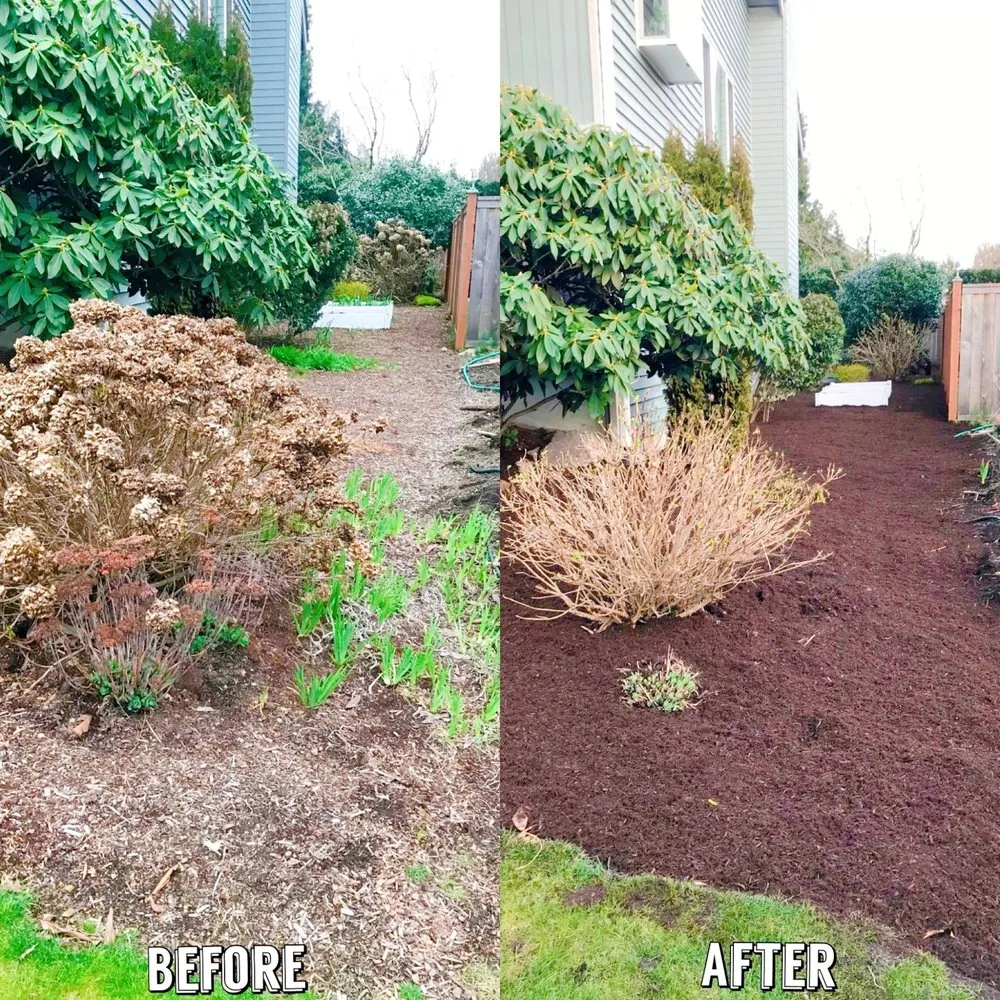 Affordable landscape design near you across Renton, WA - New View Tree and Landscaping