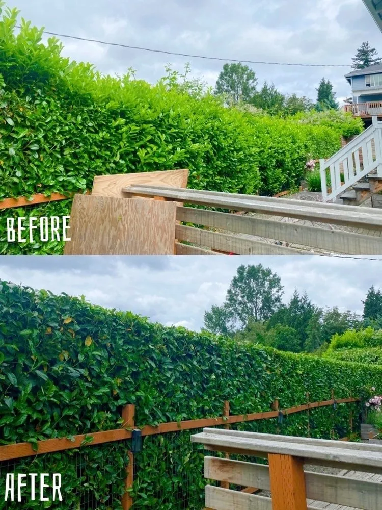 Trusted landscape design experts serving Renton, WA - New View Tree and Landscaping