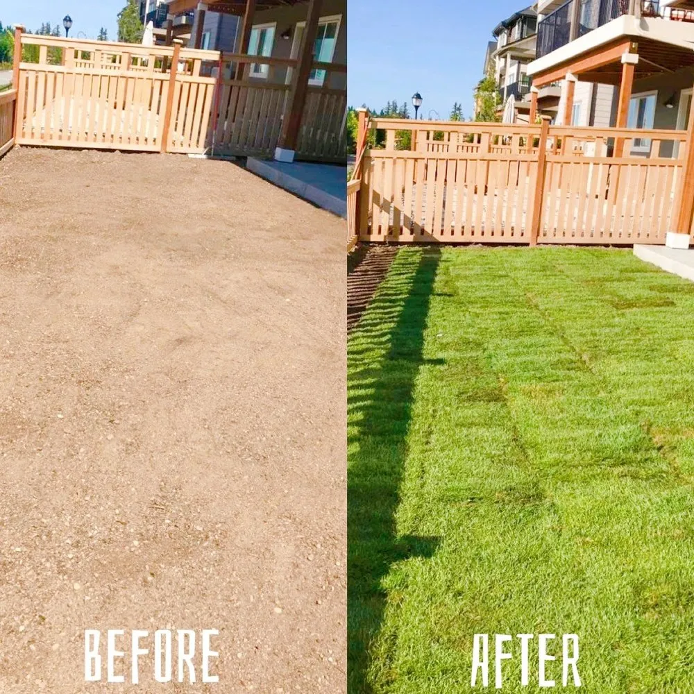 Affordable residential landscaping experts serving Renton, WA - New View Tree and Landscaping