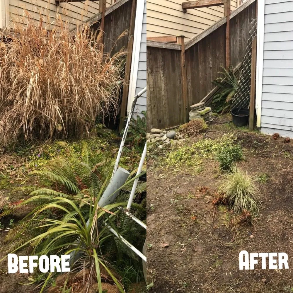 Local outdoor landscaping near you across Renton, WA - New View Tree and Landscaping