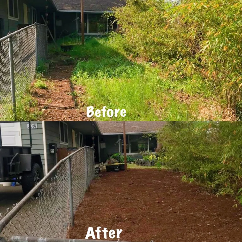 Expert garden landscaping for year-round maintenance in Renton, WA by New View Tree and Landscaping