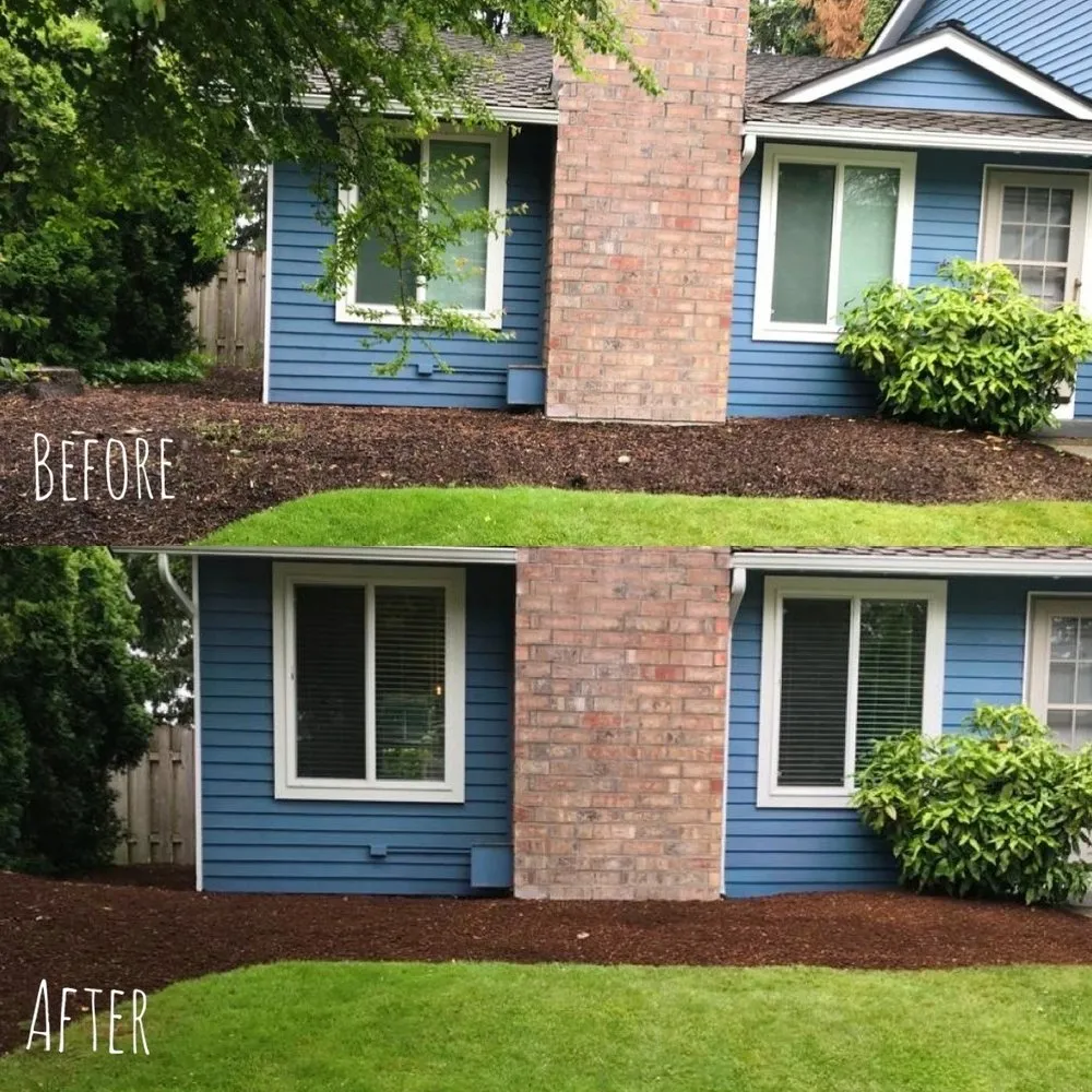 Affordable landscaping services in Renton, WA - New View Tree and Landscaping