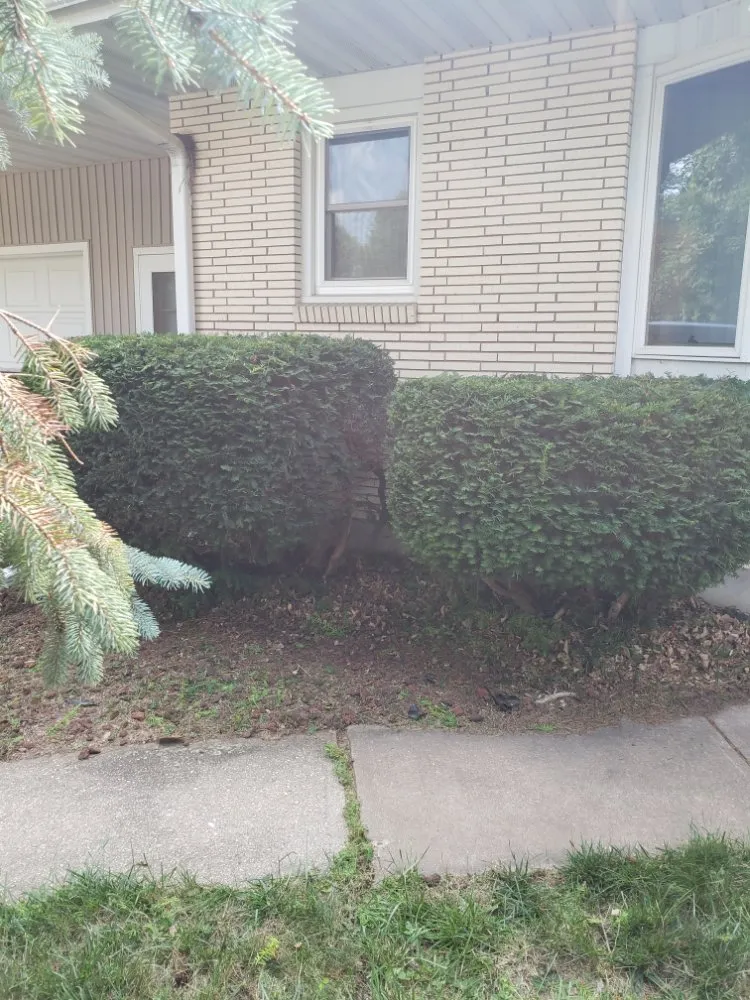 Reliable residential landscaping for homes across Middleton, WI - New Views Landscaping And Lawn Care