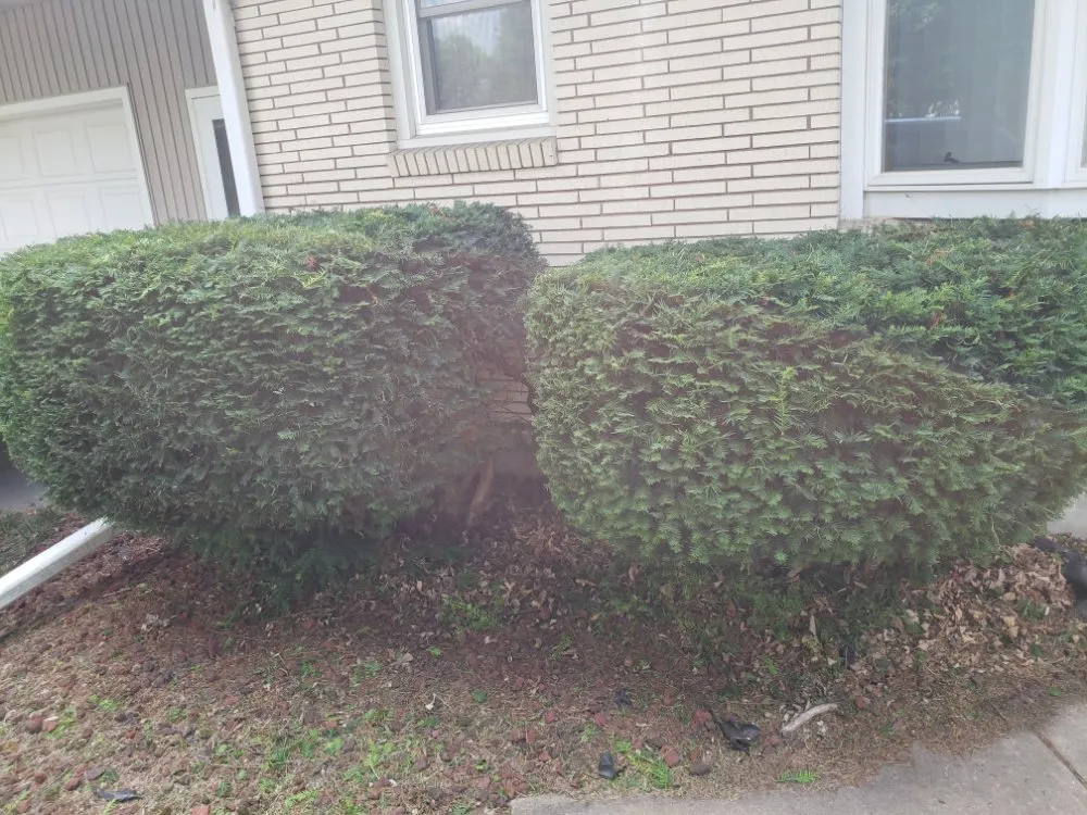 Trusted outdoor landscaping for outdoor upgrades in Middleton, WI by New Views Landscaping And Lawn Care