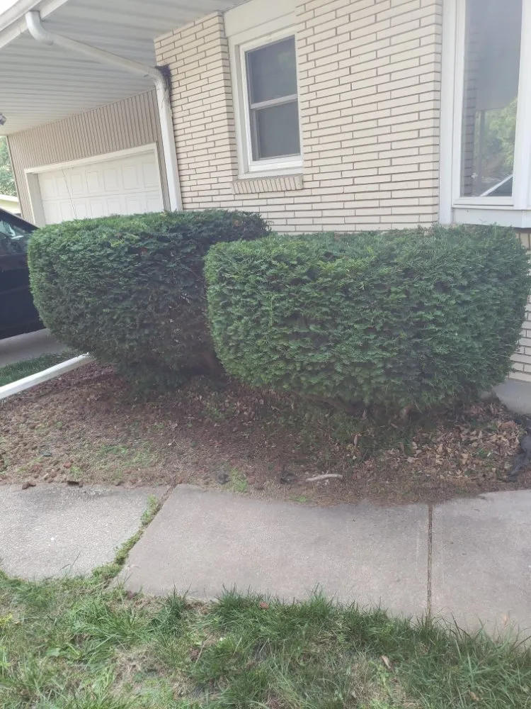 Top-rated yard cleanup service in Middleton, WI by New Views Landscaping And Lawn Care