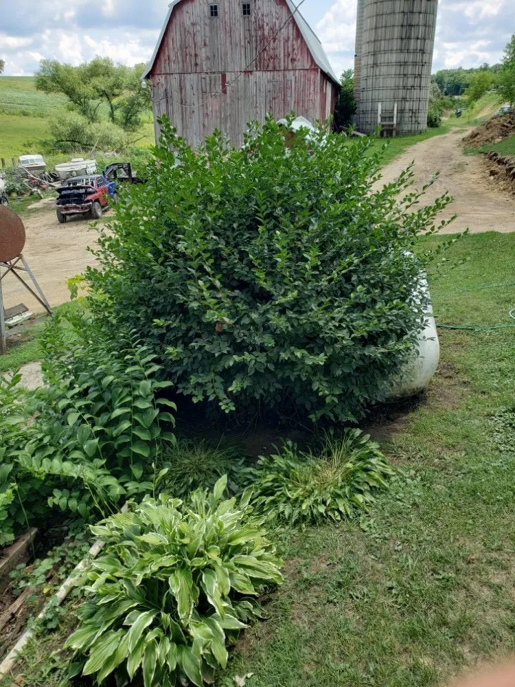 Expert lawn mowing service for outdoor upgrades in Middleton, WI by New Views Landscaping And Lawn Care