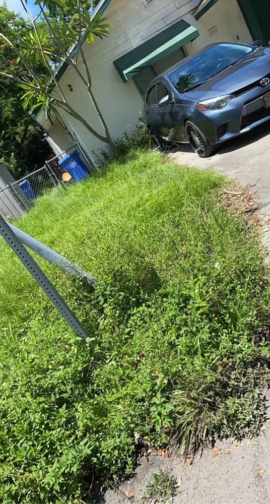 Professional garden landscaping for homes in Sarasota, FL by New vision designs