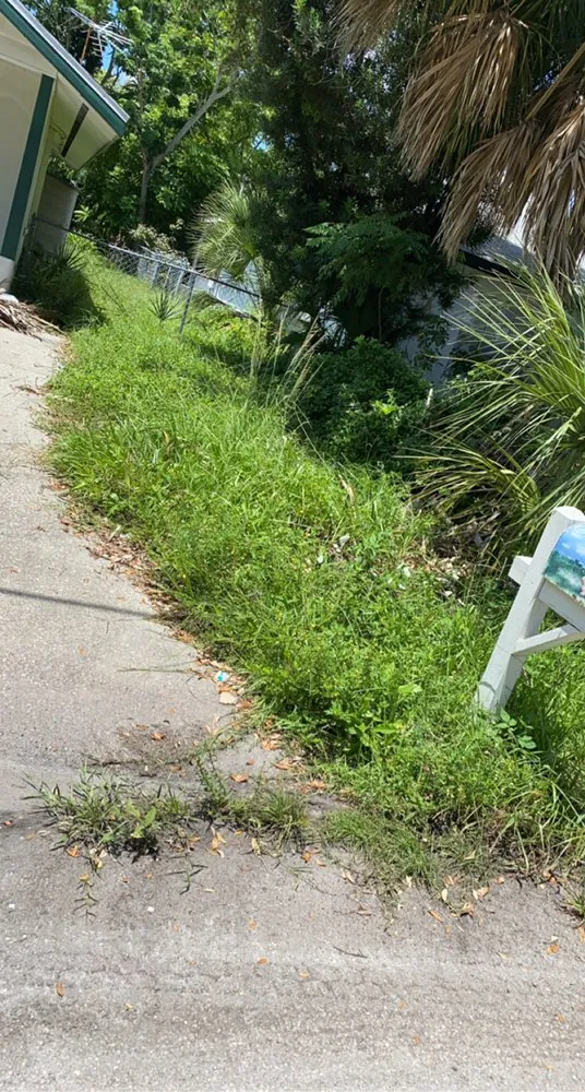 Custom landscape design experts serving Sarasota, FL - New vision designs