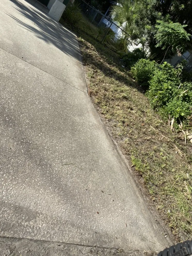 Local residential landscaping in Sarasota, FL - New vision designs