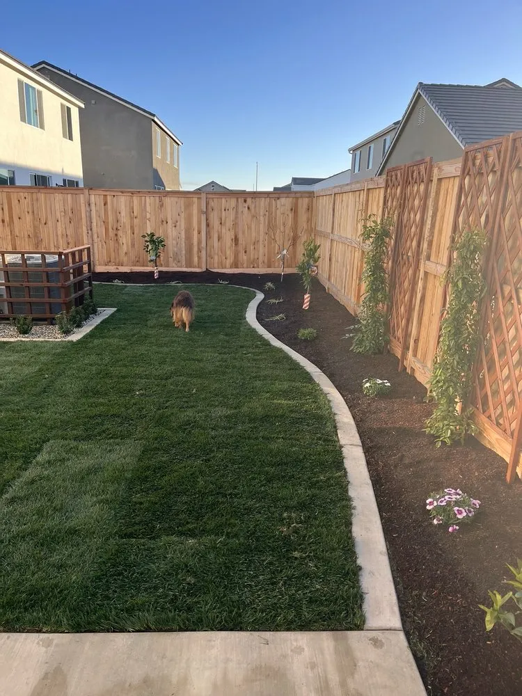 Affordable yard maintenance for homes in Fresno, CA by New Vision Landscape Company
