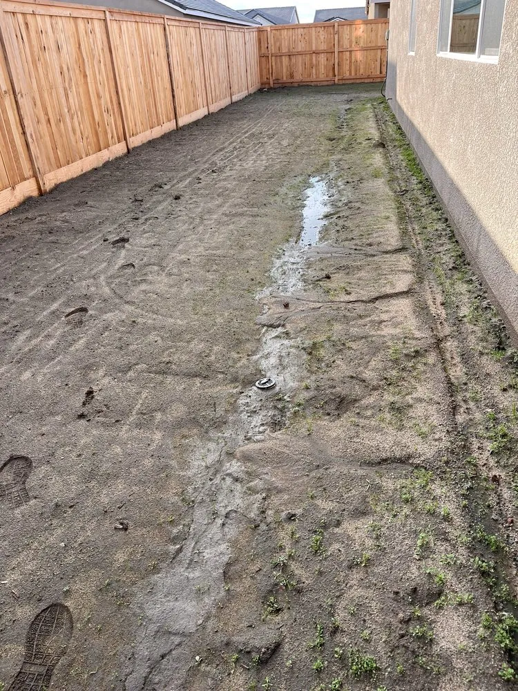 Reliable lawn care service in Fresno, CA - New Vision Landscape Company