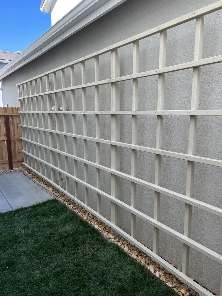 Trusted yard cleanup service experts serving Fresno, CA - New Vision Landscape Company