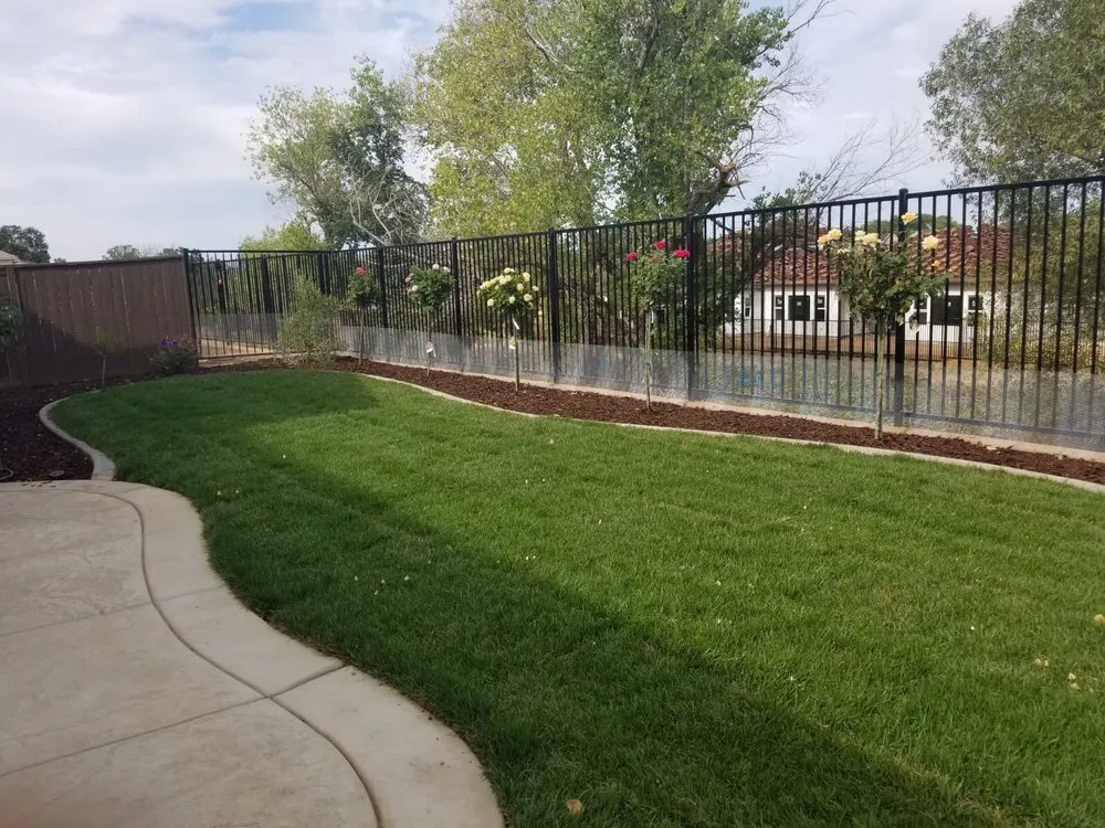 Trusted lawn care service in Folsom, CA by New Vision Landscape