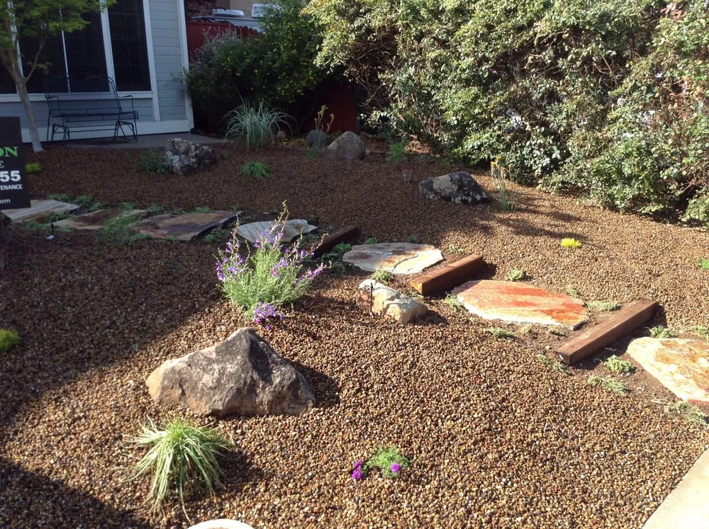 Custom residential landscaping experts serving Folsom, CA - New Vision Landscape