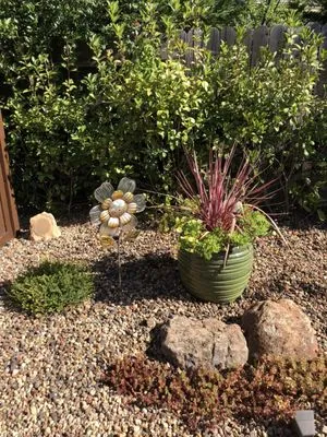 New Vision Landscape