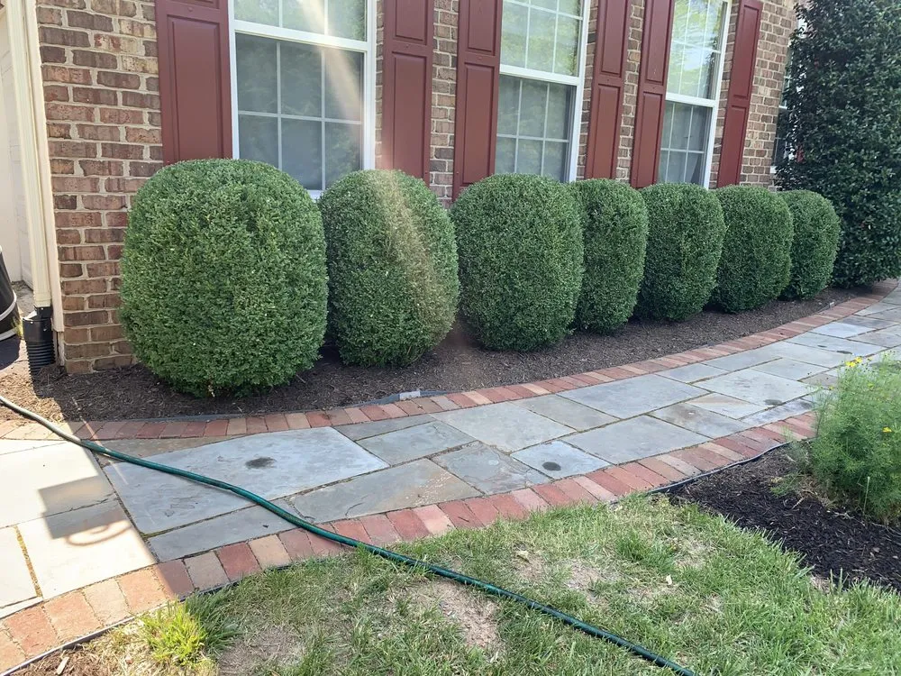 Trusted yard cleanup service for residential properties in Stafford, VA by New Vision Landscape