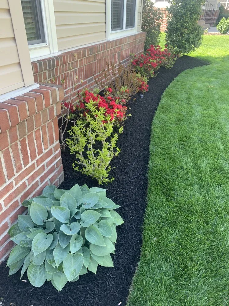 Professional yard maintenance for beautiful yards in Stafford, VA by New Vision Landscape