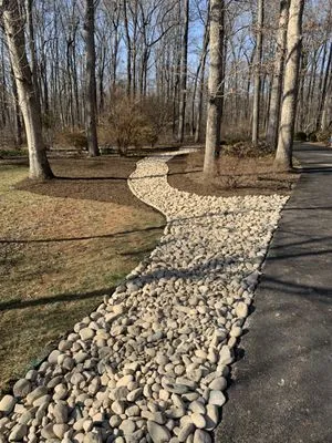 New Vision Landscape Logo