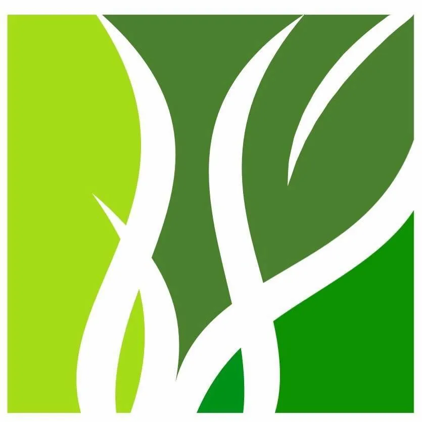 Top-rated landscaping services in Chicago, IL by New Vision Landscapes