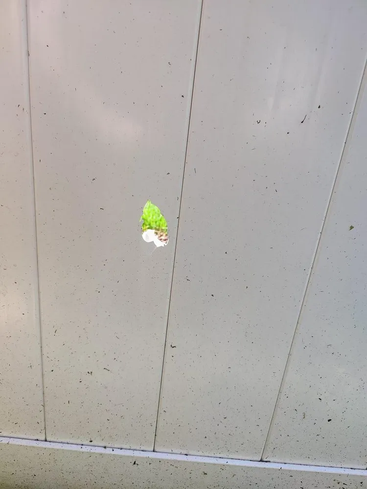 Top-rated garden landscaping for residential properties across Chicago, IL - New Vision Landscapes