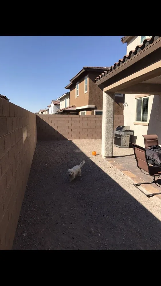 Expert lawn care service experts serving Las Vegas, NV - New Vision Landscaping By Gabriel