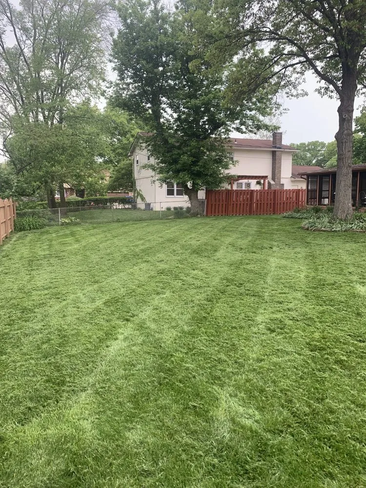Trusted yard cleanup service experts serving Columbus, OH - New Vision Landscaping