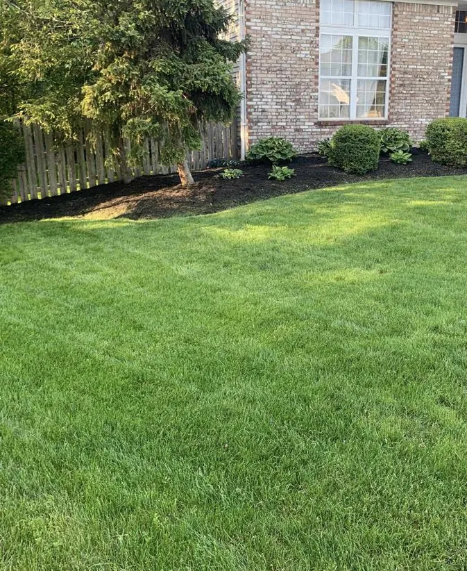 Trusted landscape installation for year-round maintenance across Columbus, OH - New Vision Landscaping