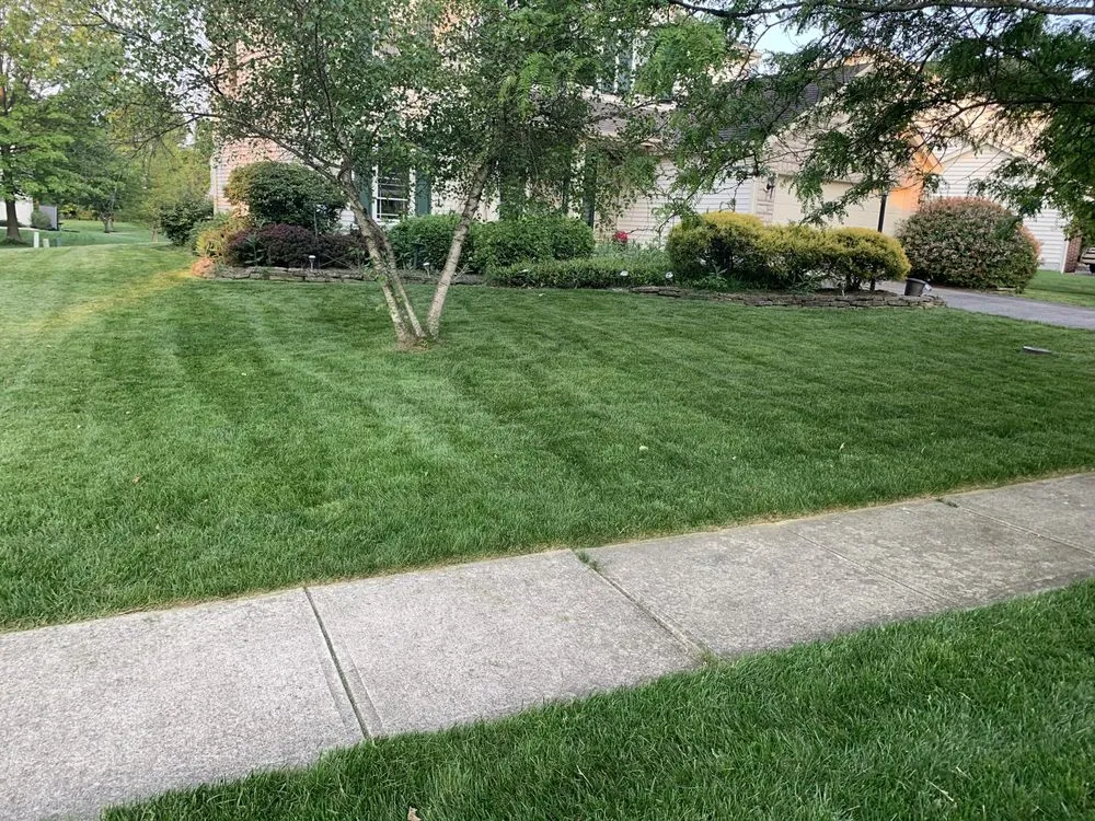 Custom garden landscaping experts serving Columbus, OH - New Vision Landscaping
