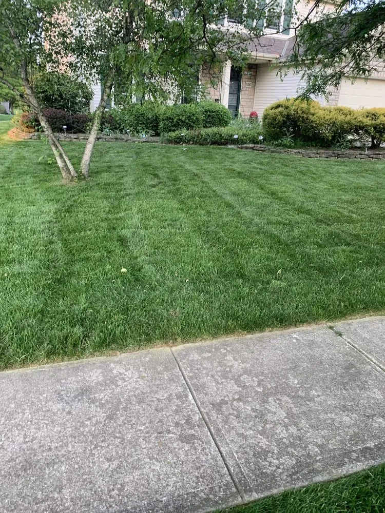 Professional landscape installation with custom design across Columbus, OH - New Vision Landscaping