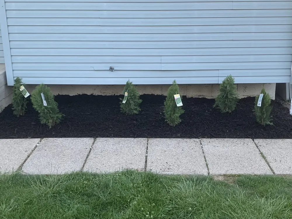 Expert yard maintenance experts serving Columbus, OH - New Vision Landscaping