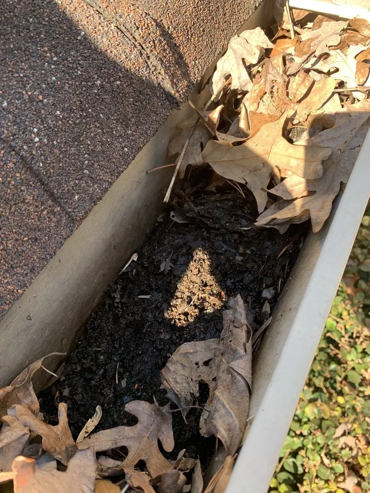 Affordable landscape installation with custom design in Cumming, GA by New Vision Landscaping